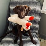 Cooper Alan Haden Vanek - @_cooper_alan - Instagram