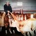 Allen Vann - Facebook