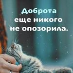 @alan.vannatta - Instagram