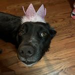 Alan Vannoy - @cowdogalpine - Instagram