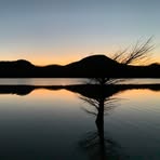 Allen Vanwinkle - Facebook