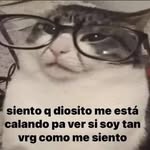 Alan Vara - @vara_alan - Instagram