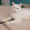 alanaveach2 - @alanaveach2 - TikTok