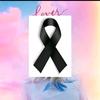 Alan Velarde - @alanvelarde28221826 - TikTok