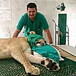 Alan Velarde Estrella - @velarde_star_vet - Instagram