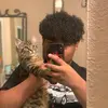 Alan Velasquez - @alanvelas157 - TikTok