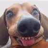 Alan Velazquez - @alan.velazquez414 - TikTok