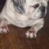 Alan Velez - @alan.velez85 - TikTok