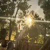 Alan Velez - @alan.velez61 - TikTok