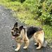 Alan Venters - Facebook