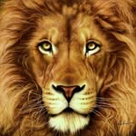Alan Verdi - @alan.verdi.96 - Instagram