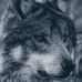 Alan Verdi - Facebook