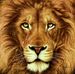 Alan Verdi - Facebook