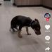 Alan Verdin - Facebook
