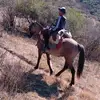 Alan Vergara - @alan.vergara5 - TikTok
