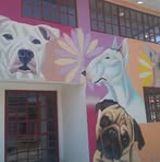Alan Vergara - Facebook
