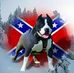 Alan Waddell - Facebook