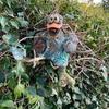 alanwaddell602 - @alanwaddell602 - TikTok
