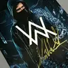 @alan.walker899 - @alan.walker8997 - TikTok