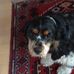 Alan Wallack - Facebook