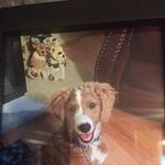 Alan Wallack - @alanwallack - Instagram