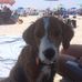 Alan Wallack - Facebook