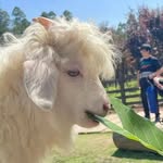 Alan Watterson - @alan_watterson4 - Instagram