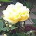 Alan Watterson - Facebook