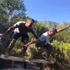 alanweakley - @alanweakley - TikTok