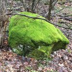 Alan Weaver - @aweaverhere - Instagram
