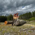 Alan Wayne Webber - @alanwebber64 - Instagram