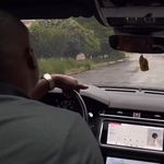 Wertheimer - @allanpierre5 - Instagram
