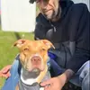 Alan Whalen - @alan.whalen - TikTok