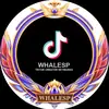Hero_Creator_Network - @whalesp_alan_uk - TikTok