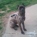 Alan Whitcomb - Facebook