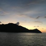 Alan Whitehead - @alanwhitehead - Instagram