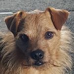 Alan Whitehead - @kitkat.alan - Instagram