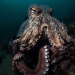 Alan Whitson - @alan_whitson - Instagram