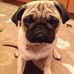 Alan Wilcock - Facebook
