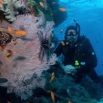 Alan Winstanley - @winstanley6250 - Instagram