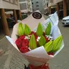 Allan wolan - @alan0110457911 - TikTok