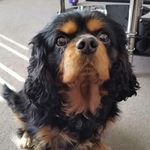 Alan Wray - @alanwra - Instagram