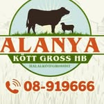 ALANYA KÖTT GROSS AB - @alanyakottgross - Instagram