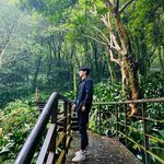Alan Yang - @alanyang0805 - Instagram