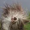alanyardley - @alanyardley - TikTok