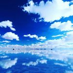 Alan Zack - @alanzack7 - Instagram