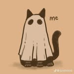 Alan Zamarripa - @blackcat_zam - Instagram
