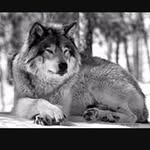 Allan Zimmerman - @allan.zimmerman.35 - Instagram