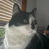 alanaberlinx - @alanaberlinx - TikTok