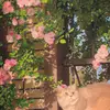 Ashleigh Weeks - @alana_cobb233614 - TikTok